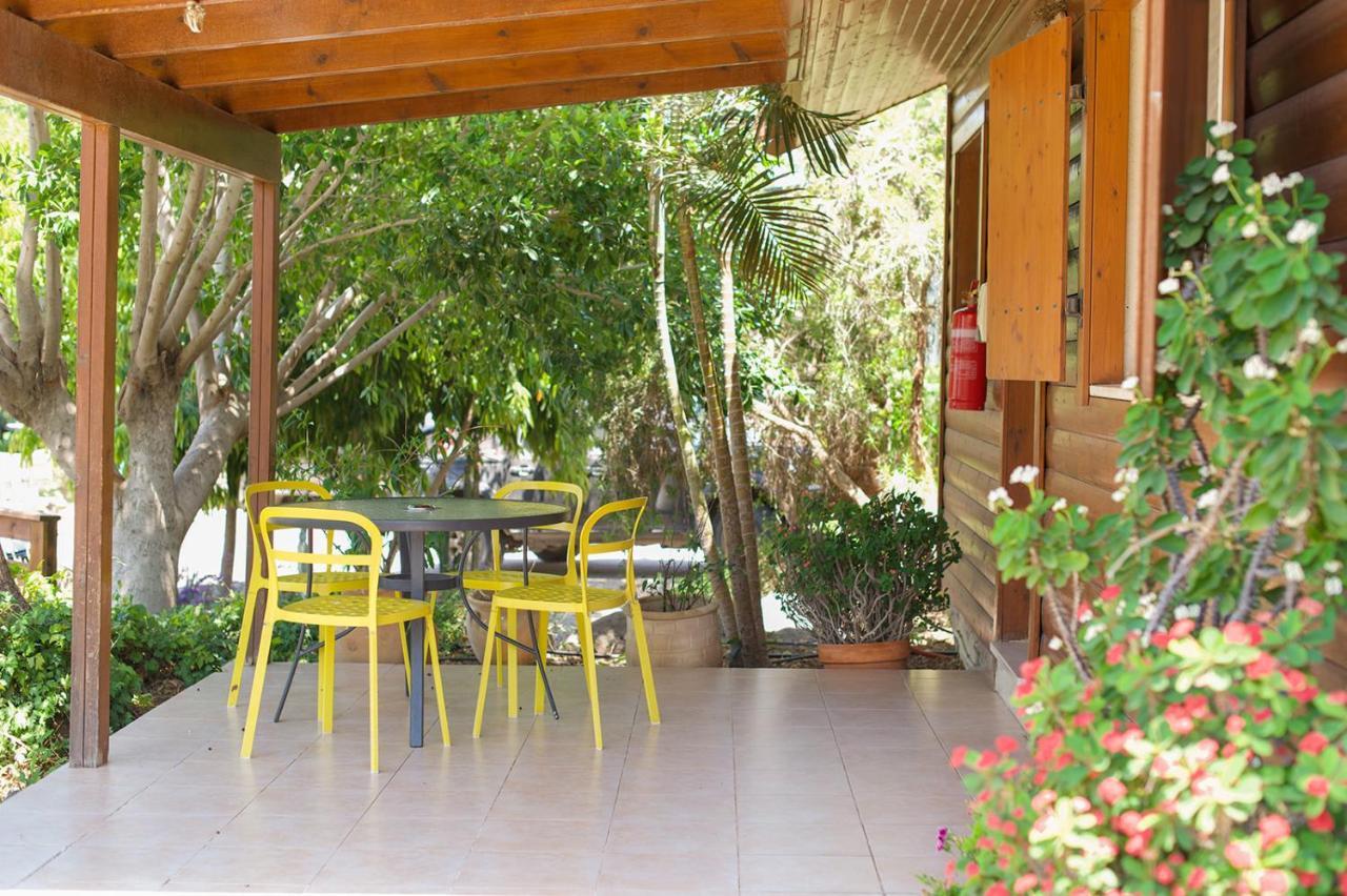 מושב רמות Naomi's place הבית של נעמי מראה חיצוני תמונה