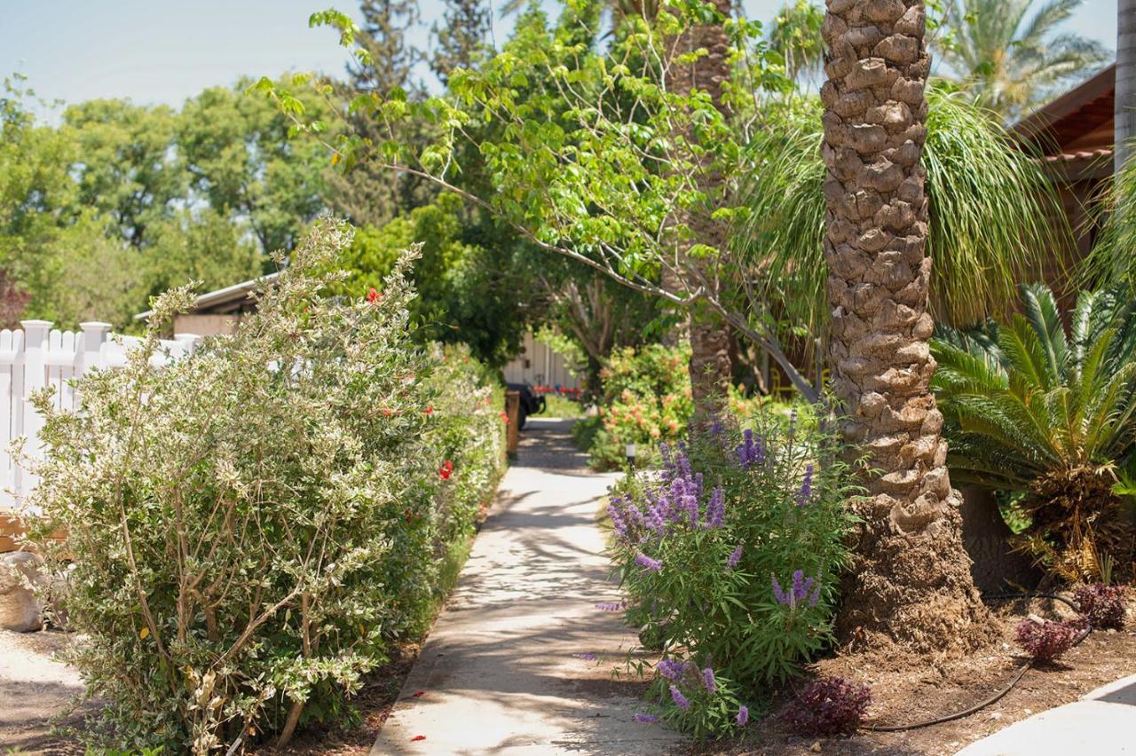 מושב רמות Naomi's place הבית של נעמי מראה חיצוני תמונה