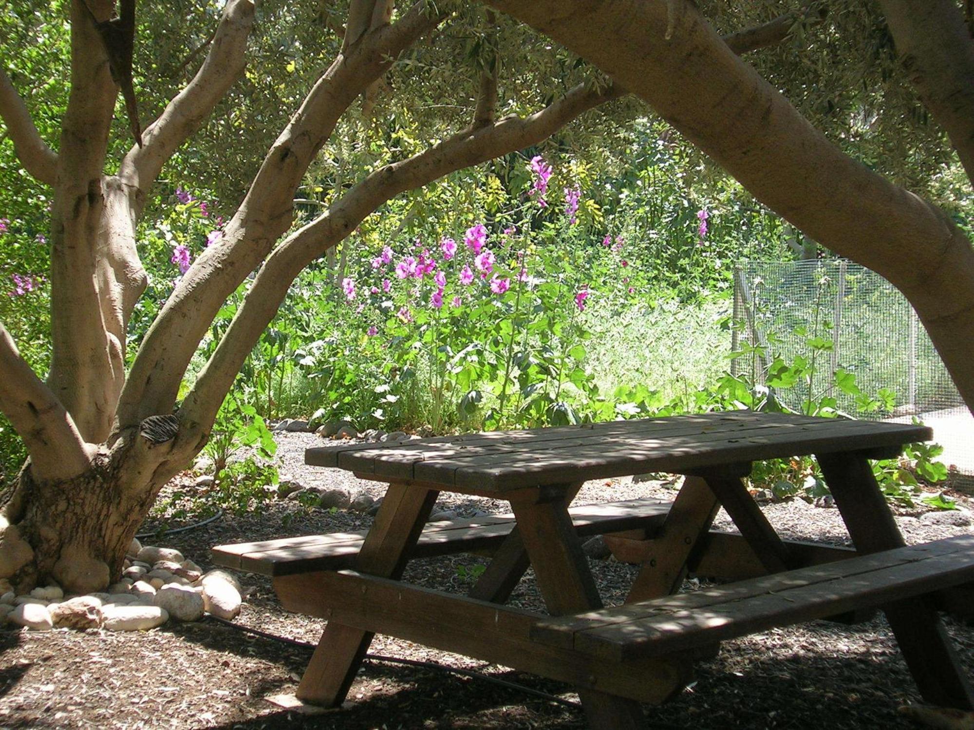 מושב רמות Naomi's place הבית של נעמי מראה חיצוני תמונה